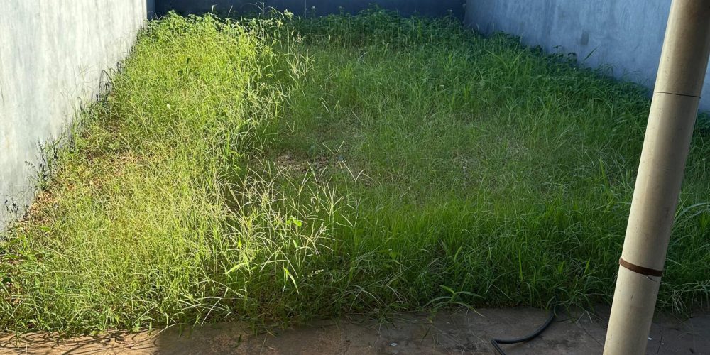 WhatsApp Image 2025-06-12 at 15.47.08 (2)